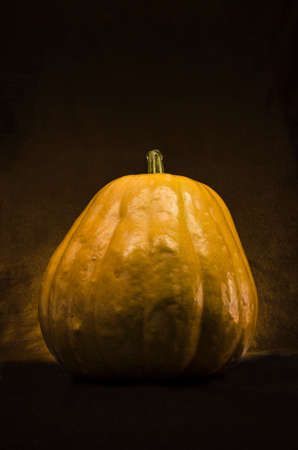 Still life of a pumpkinの写真素材