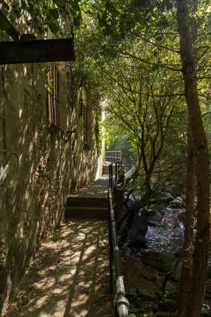 Walk along the river next to an abandoned factory with a dense forestの写真素材