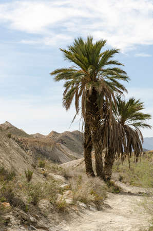 The Tabernas Desert, Almeria, is a nature reserve and has been popular area to shoot western since the 1950sの写真素材