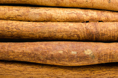 Close up of the skin of an organic cinnamon sticks. Spicyの写真素材