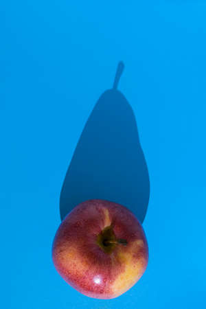 Conceptual image of a fruit that through its shadow shows its true personalityの写真素材