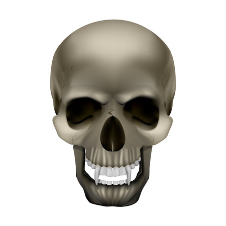 Vector skull vampire monster with fangs. Isolated object on a white background, can be used with any image.のイラスト素材