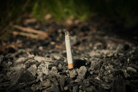 Close-up of a lighted cigarette with ash in the burnt coals.の写真素材