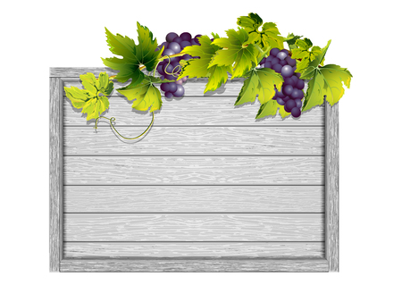 An empty white frame of wooden white boards and grapes with leaves flutter. Isolated object.のイラスト素材