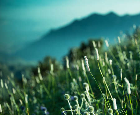 natural scenery の写真素材