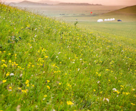 Prairieの写真素材