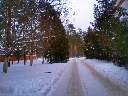 Road to Snowの写真素材