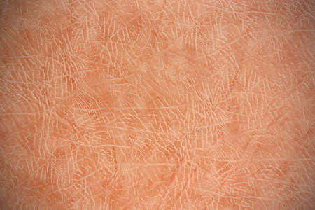 Photo of texture of colored crumpled leather with vignettingの写真素材