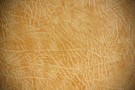 Photo of texture of colored crumpled leather with vignetting