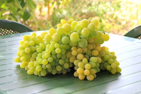 Bunch of grapes on a table in the gardenの写真素材