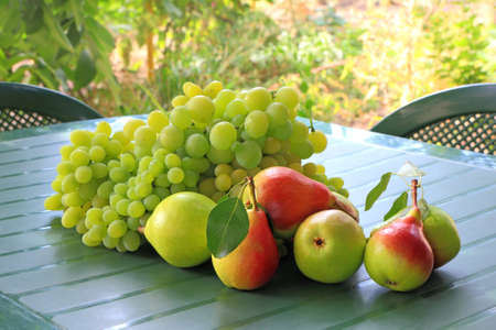 Bunch of grapes and pears on a table in the gardenの写真素材