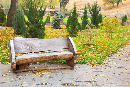 Wooden bench in autumn park on a background of trees and fallen leavesの写真素材