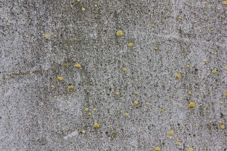 Wet concrete wall with mold fungis. Image close-upの写真素材