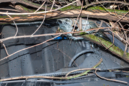 The tree smashed the car's windshield with a large, close-up holeの写真素材