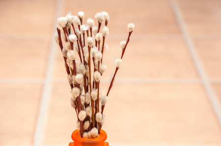 A bouquet of willow with fluffy buds stands in an orange vase on the floor against a background of washed beige slabs. Horizontal frameの写真素材