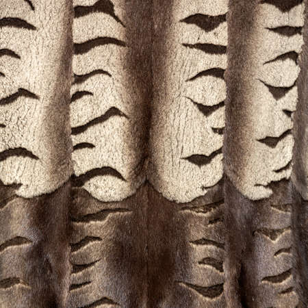 The texture of the fur hangs vertically in beautiful folds in waves with horizontal brown stripes