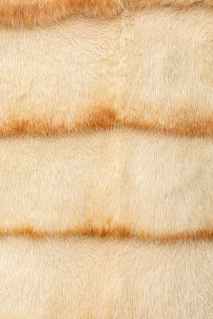 Light fur on a fur coat with a shallow depth of field and blur. Shiny, expensive pattern with...