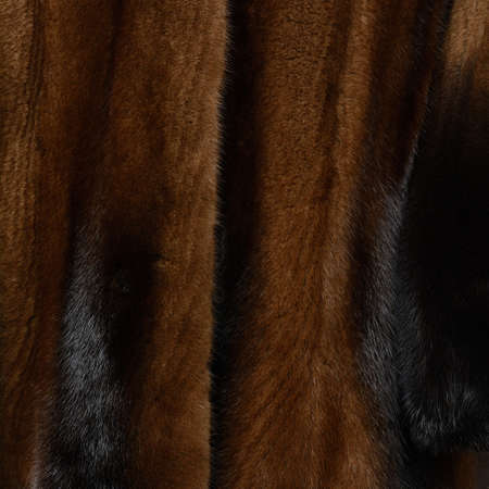Dark brown fur coat. Shiny expensive painting with textured hairの写真素材