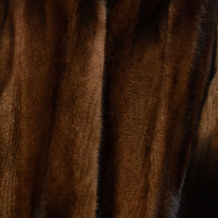 Dark brown fur coat. Shiny expensive painting with textured hairの写真素材