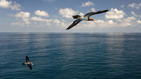 Seascapeの写真素材