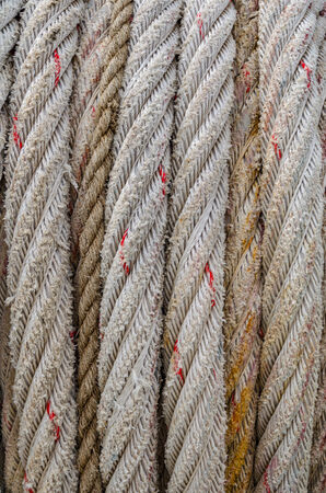 Type of parts of the mooring rope made from weaved polie-
sterovy threadの写真素材