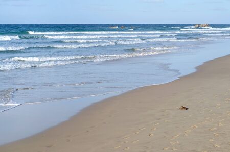 Waves break against the sea shoreの写真素材