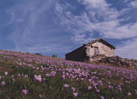 In the north of Burgos, the origin of the Pasiegosの写真素材
