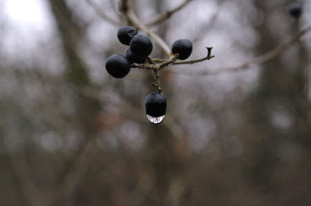 North of Burgosの写真素材