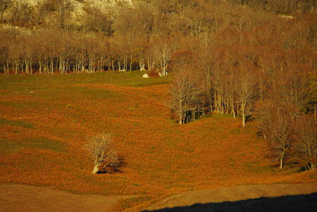 The mountains of Espinosa, in the Cordillera Cantabrica, Landscapes pasiegosの写真素材