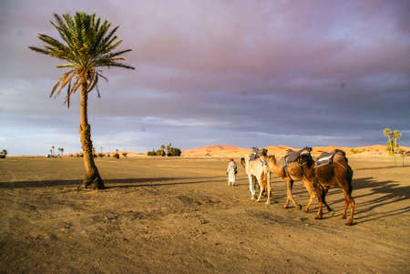 Moroccan desert