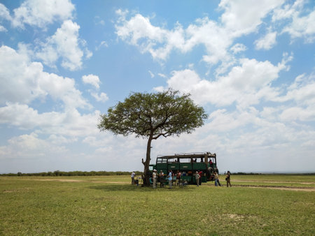 Safari in Kenya and Tanzania. Masai-Mara, Serengeti, Ngorongoro, lions, zebras, leopards, elephants, rhinoceroses, giraffes, wildebeests, hippopotamuses, cococriles, balloon trips, and much more.のeditorial素材
