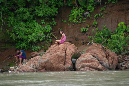 Inside the Manu National Park in Peru, different aspects of its wildlife, an incredible journey through one of the most wonderful places on earth.のeditorial素材