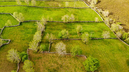 In the mountains of Espinosa de los Monteros (Spain) lies the wonderful world of the Pasiegos, a people of immemorial origin who have lived off their livestock and their meadows.の写真素材