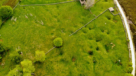 In the mountains of Espinosa de los Monteros (Spain) lies the wonderful world of the Pasiegos, a people of immemorial origin who have lived off their livestock and their meadows.の写真素材