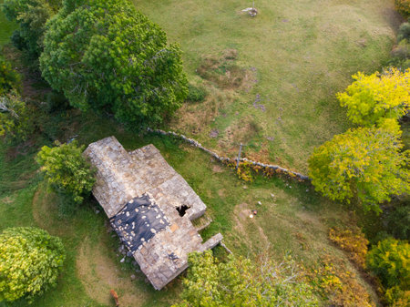 Beech forests in autumn have their magical colors, capturing the moment is an art.のeditorial素材
