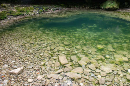 In the north of Burgos we find true hidden wonders, animals, plants and waterfalls form a landscape...