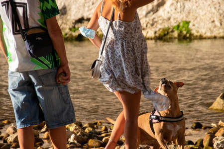 A girl played with her dog in the river, throwing sticks for him to pick up.の写真素材