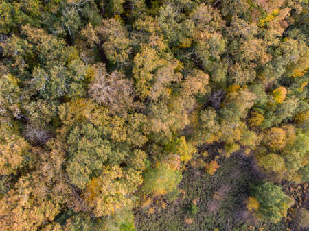 In the north of Burgos, near Espinosa de los Monteros, is one of the most impressive natural landscapes. The change of color in its forests is pure magic.の写真素材