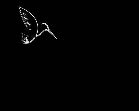 The sketch of the flying bird. Vector illustration. A template for a card with free space. Black background.のイラスト素材