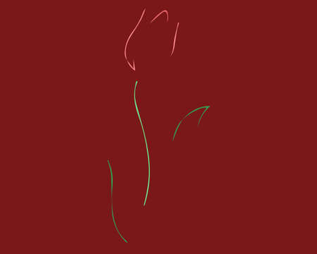 Tulip flower silhouette. Vector illustration. Darkly red backgroundのイラスト素材
