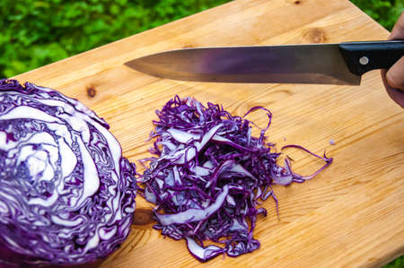 The cook cuts red cabbage with a knife. Culinary still life outdoors.の写真素材