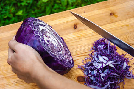 The cook cuts red cabbage with a knife. Culinary still life.の写真素材
