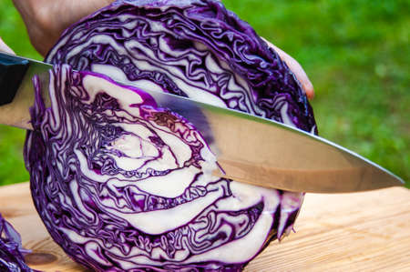 The cook cuts red cabbage with a knife. Culinary still life outdoors.の写真素材