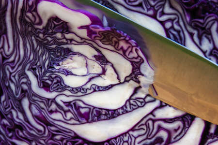Knife in red cabbage on cutting board. Culinary still life.の写真素材