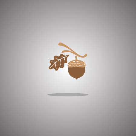 Acorn and leaf oak branch.  illustration. Gray background with gradient.の写真素材