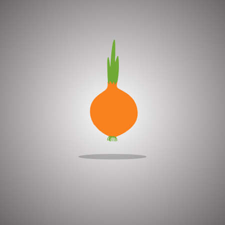 Onions on a gray background with a gradient. Vector illustration.のイラスト素材