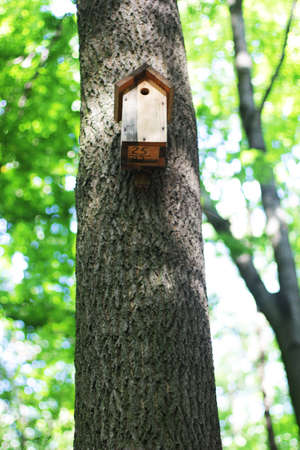 Bird feeder in the forest. Summer season. Natural lightの写真素材