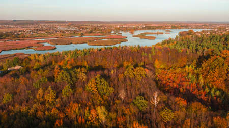 Aerial top view. Autumn landscape. Wild nature in Ukraineの写真素材