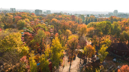 Autumn aerial photo of Ferris wheel landscape. Park and yellow trees. Romantic and comfort atmosphereの写真素材