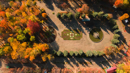 Autumn aerial top down view of Park area. Ukraineの写真素材